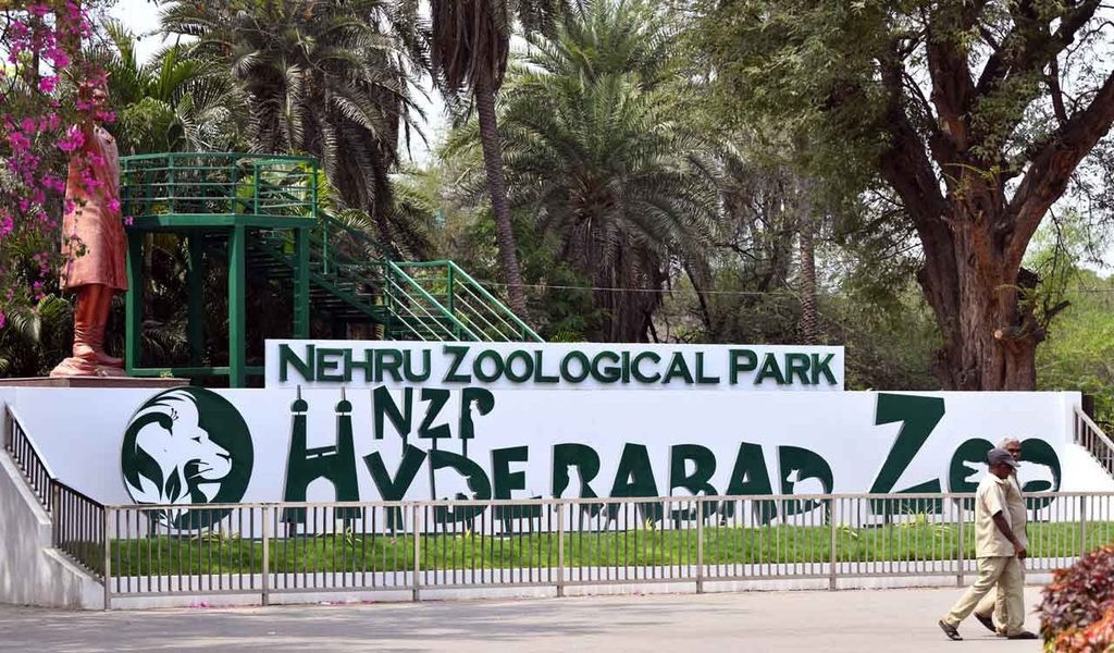 Nehru Zoological park is the Best Tourist Places In Hyderabad For Families on weekend Holiday's
